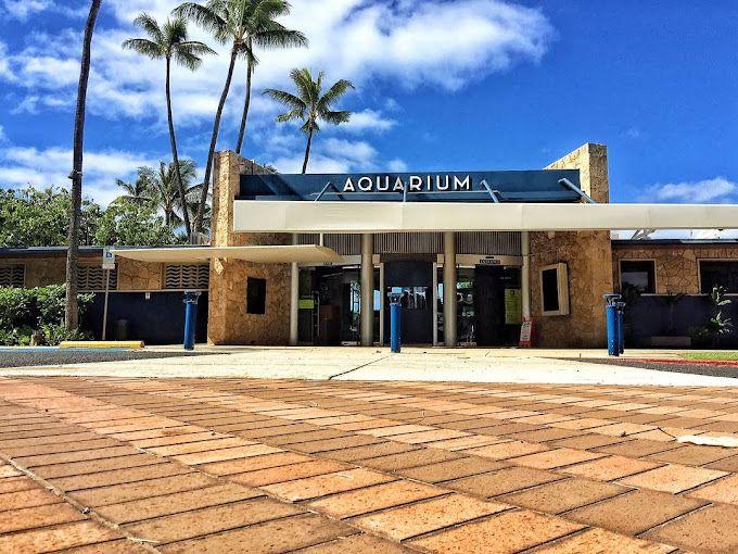 Waikiki Aquarium